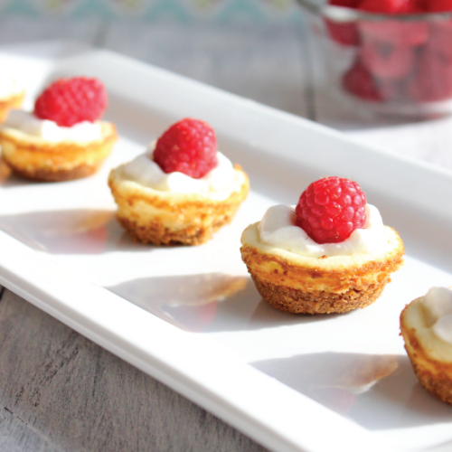 White Chocolate Raspberry Mini Cheesecake Bites - Inspiration Made Simple